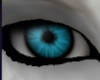 Blue Night Eyes/SP