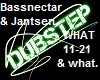 Bassnectar - What 2