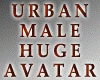 Urban Male HUGE Avi -40%