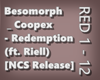 Bes._ Coopex -Redemption