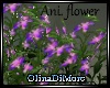 (OD) Ani. flower pink