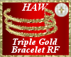 Triple Gold Bracelet (R)