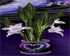 *E4U*Purple Dragon Plant