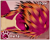[Pets] Coralia | hair v6