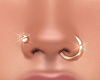 Gold Nose Piercings