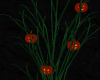 Halloween Plant ~