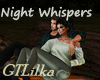 Night Whispers Campfire