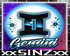 ISI Gemini Hoodie Top Z
