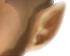 Ear v2