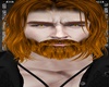 Ginger beard