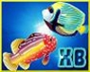 XB - FISH ENHANCER 2