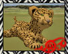 Safari Leopard Cub