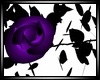 {DSD} Purple Rose Vine