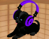 DJ Pet Purple
