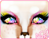 [Nish] Enfys Eyes