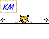 Cat Mouse Ani