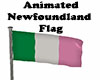 Animated Newfoundland Fl