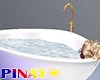 Egg Tub with Pose