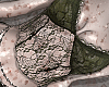 renda verde