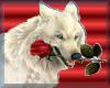 wolf with red rose