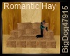 [BD] Romantic Hay