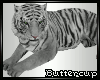 *B* White Tiger