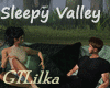 Sleepy Valley Pillows