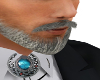 Gray Mustache