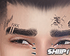 Eyebrows DEP