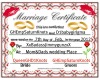 Saturn&dee marriage cert