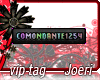 j| Comondante1254 =n=