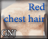 [GNJ] red chest hair