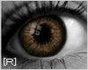 [R] eye: Brown