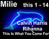 Calvin Harris & Rihanna