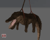 RD The LATER Gator