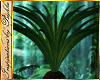 I~Jungle Moro Plant