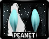 Fiero | Ears REQ.