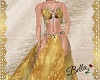 Belly Dance Luxe Gold