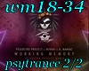 wm18-34 p2/2 psytrance