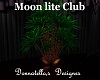 moonlite club plant 4