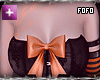 Pumpkin Witch Bundle