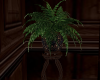 Twilight Fern/Stand