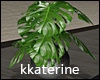 [kk] Lake Plant