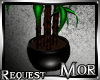 *M* Dark Bamboo Plant