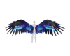 -DS- M Galaxy wings