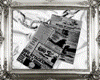 𝕽. ufo animal news