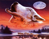 Howling Wolf cry picture