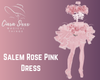 Salem Rose Pink Dress