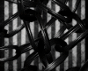 [AP] Chest Chains Black