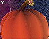 Pumpkin Head M